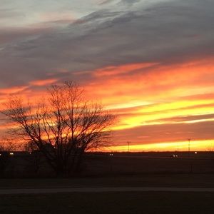 Meet your Posher, Lexi